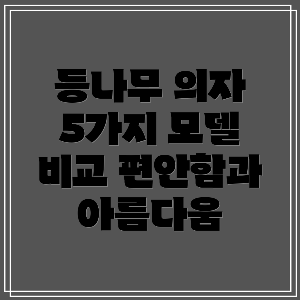 등나무의자편안함과아름다움의완벽한조화5가지모델비교분석