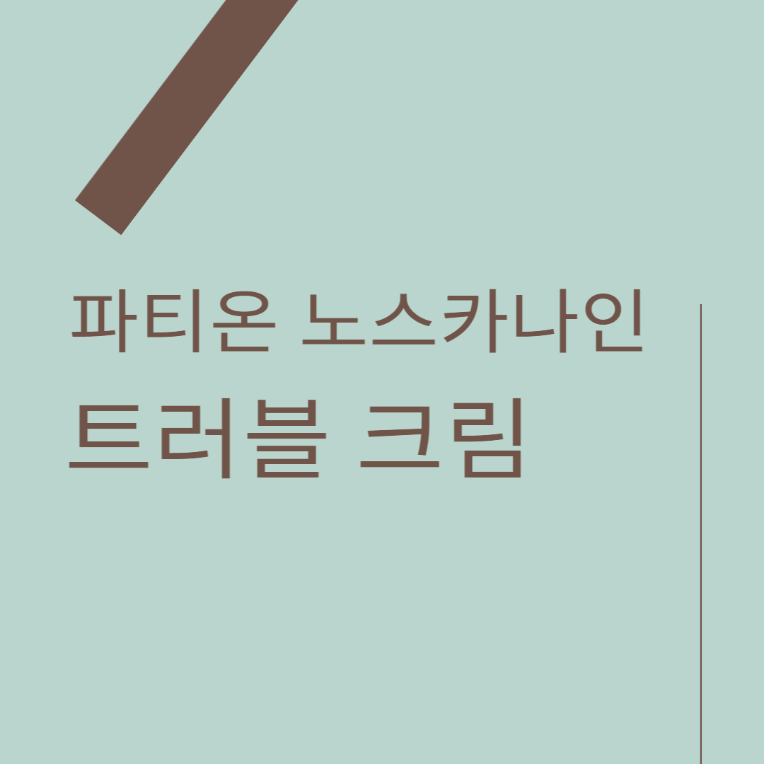 파티온-노스카나인-트러블-크림