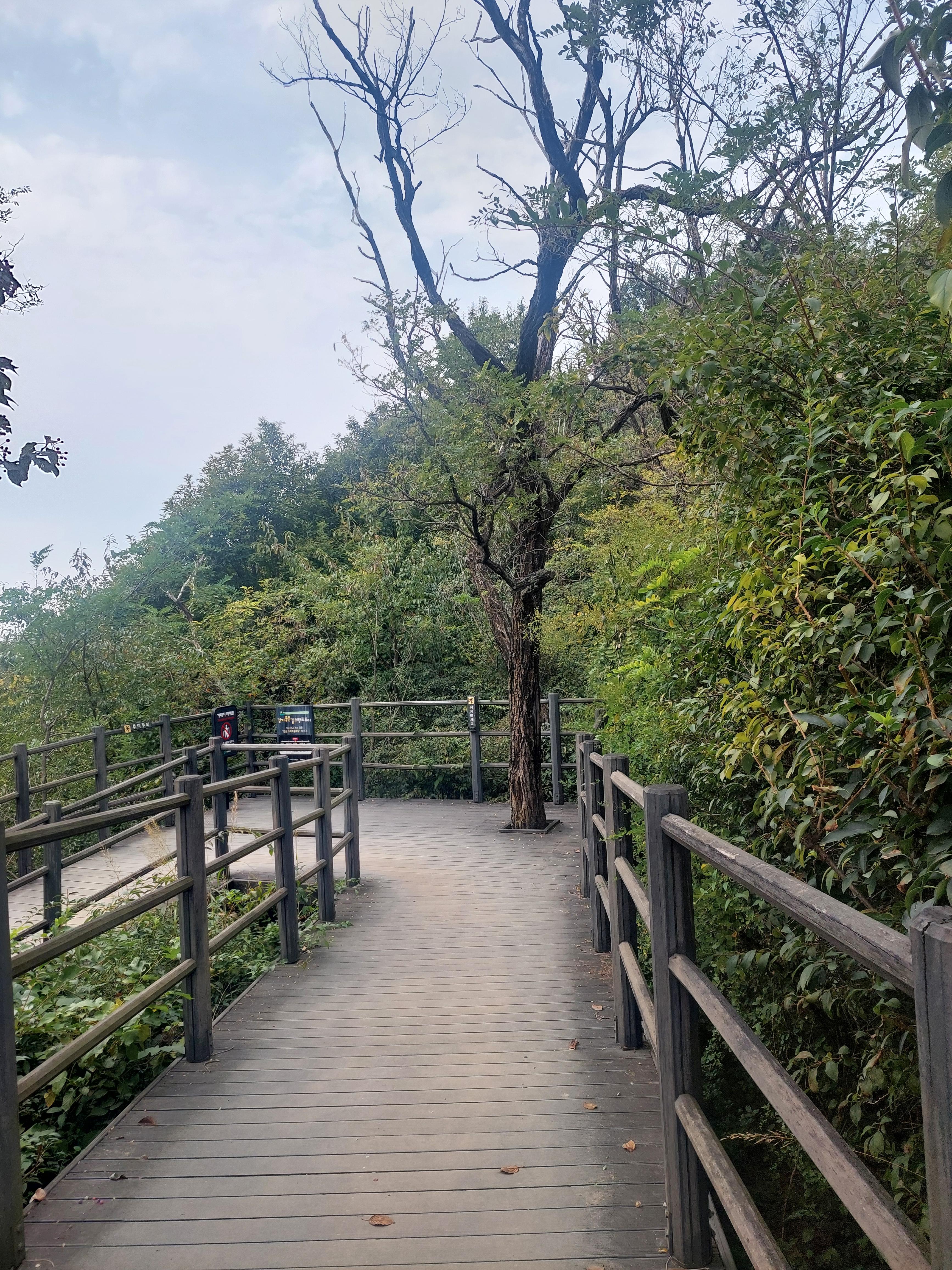 안산