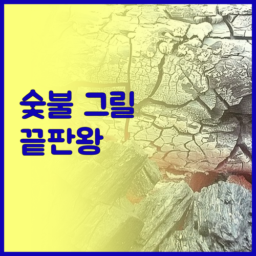 숯불 그릴 완벽 분석 무연 휴대용 접