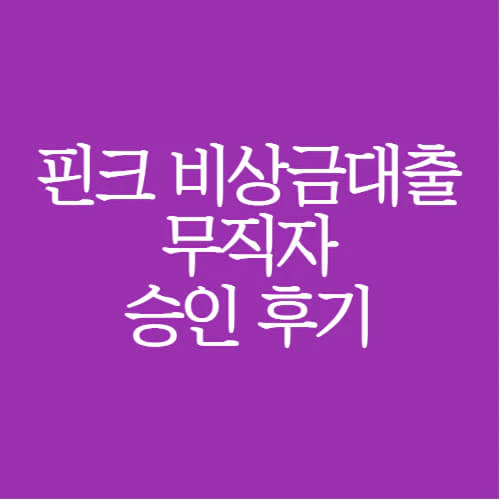 핀크-비상금대출-후기-글