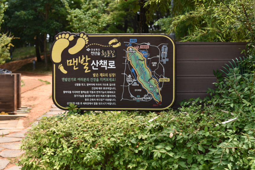 천년숲1