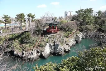 제주시볼거리 6월 제주도 여행 볼거리 제주시 볼거리 한라수목원 완벽 가이드_4