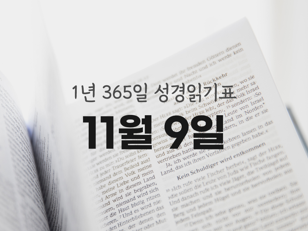 1년 365일 성경읽기표 11월 9일 요한복음 성경읽기 진도표 다운로드