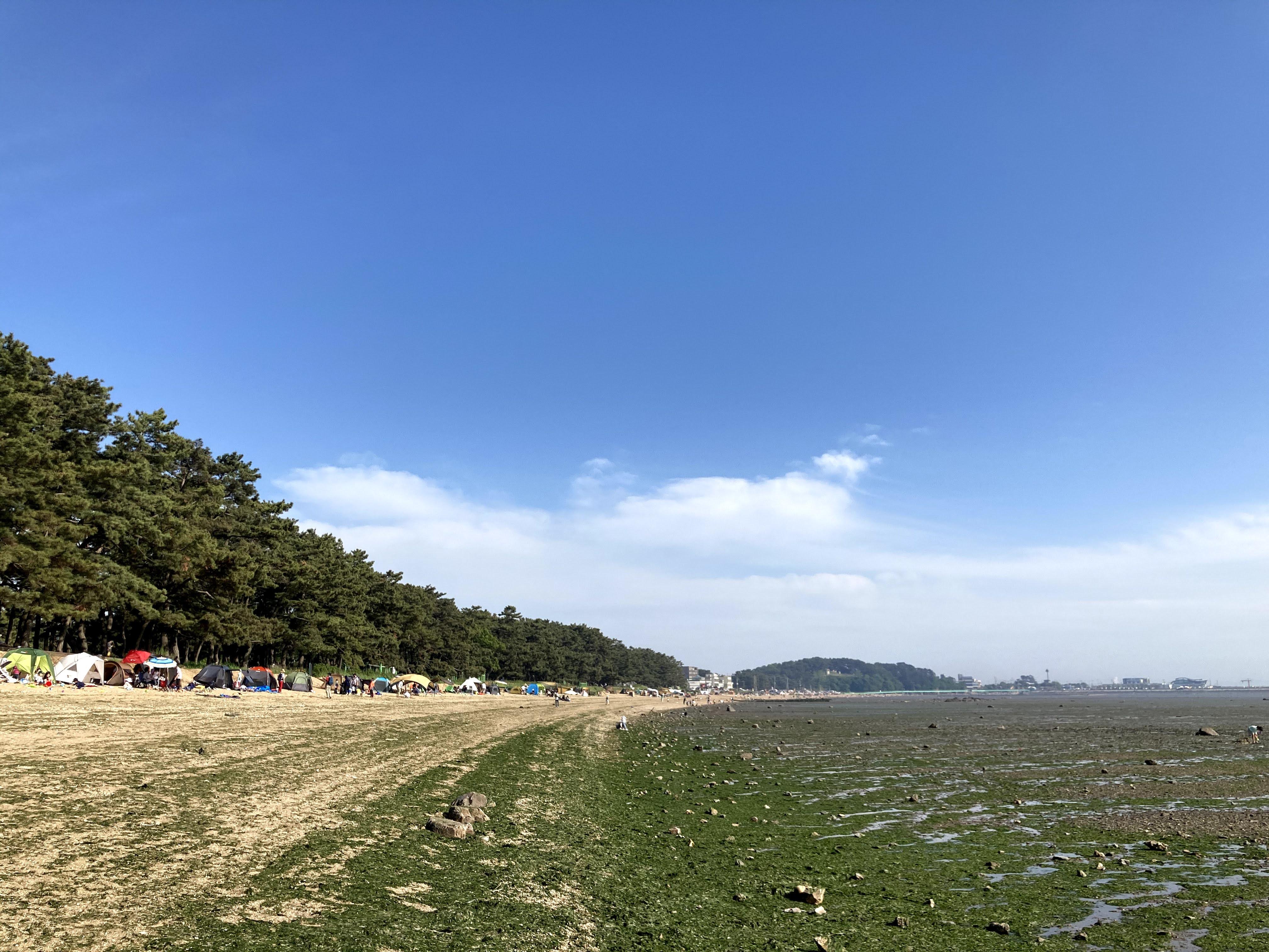 궁평산업 이미지