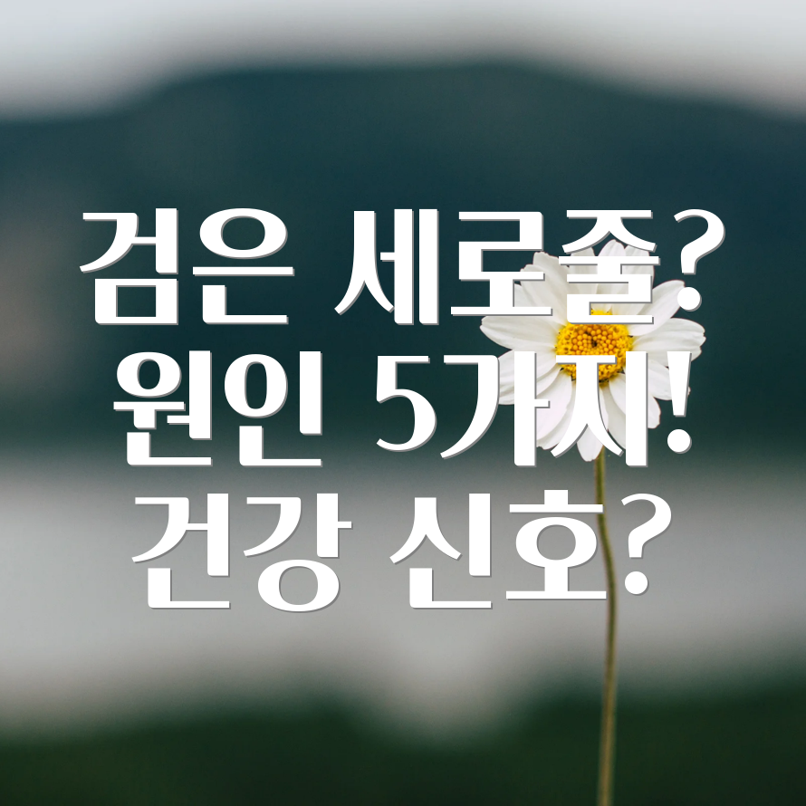 손톱 검은 세로줄