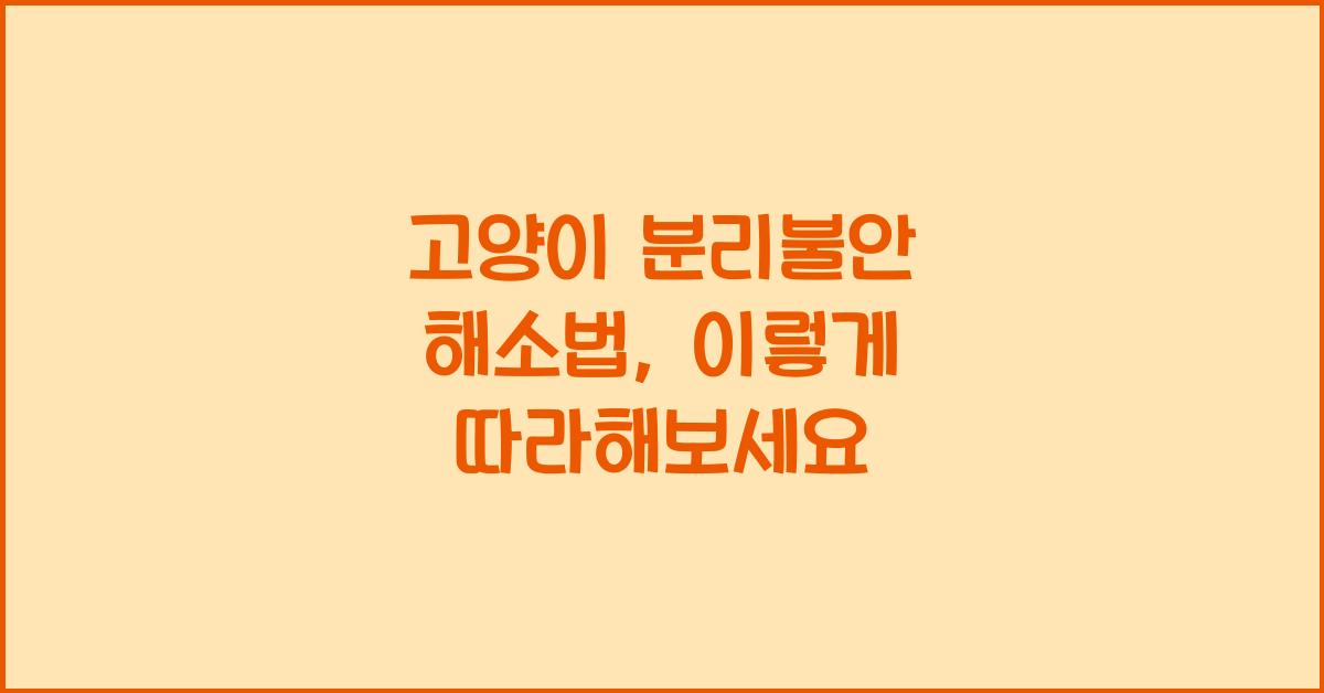 고양이 분리불안 해소법