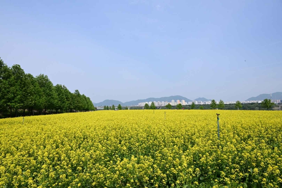배경이미지