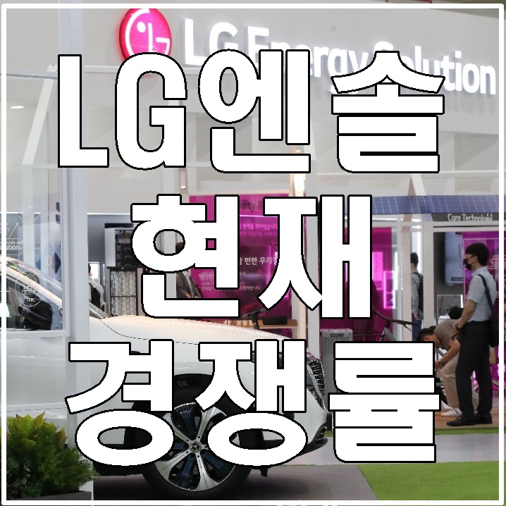 LG에너지솔루션-경쟁률