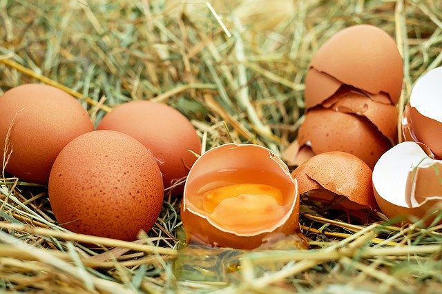 야외-지푸라기-위에-놓인-계란들과-깨진-계란