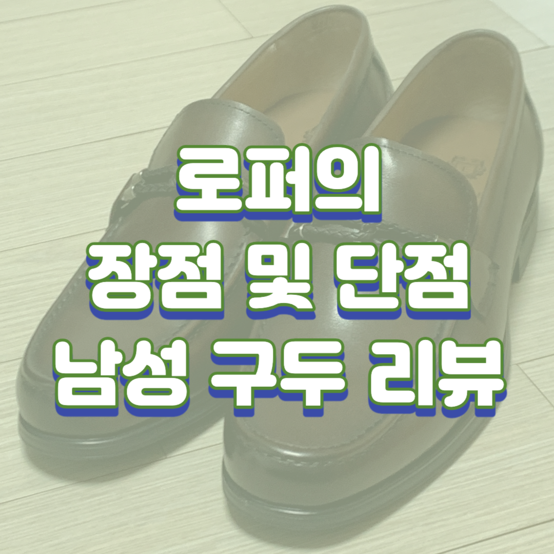  로퍼의 장점 및 단점, 에스콰이어 남성 로퍼 구두(EQDSHL104BR) 리뷰