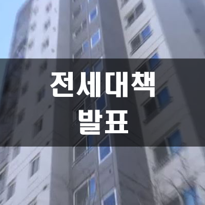  전세 대책 발표 2년간 공공임대11만4천가구 공급