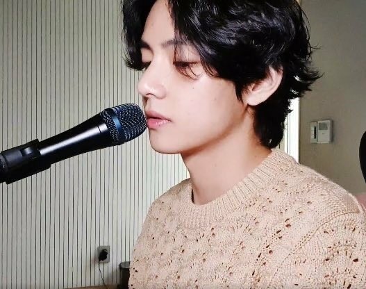  '조회수 10배 껑충' 방탄소년단 뷔 추천으로 인기 오른 해외 라이징 스타들
