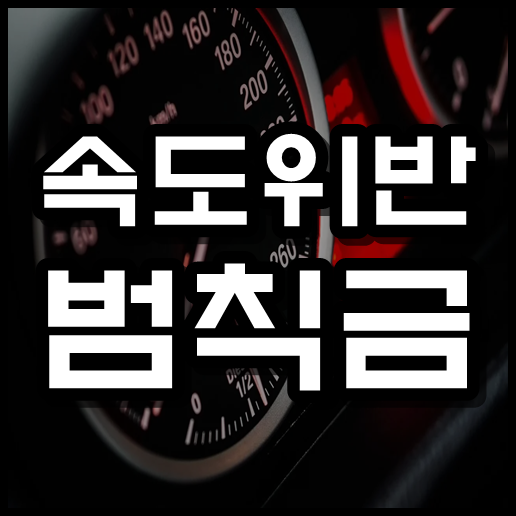  속도위반 범칙금 과태료 , 속도위반 실시간 조회 방법