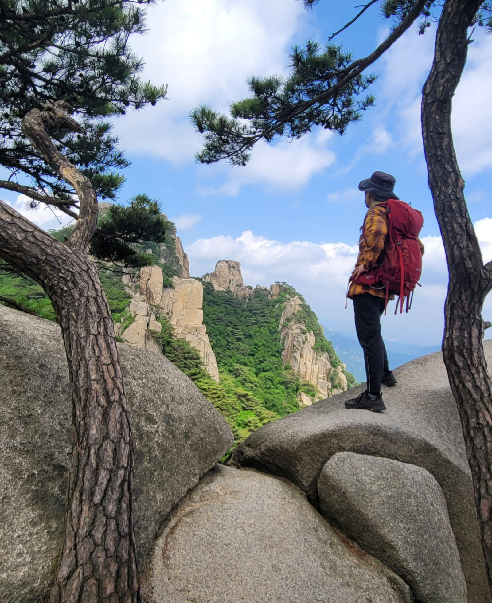 늘 산이 부르는 소리 들린다. 해사한 산의 그림자가 눈앞에 어른거린다.