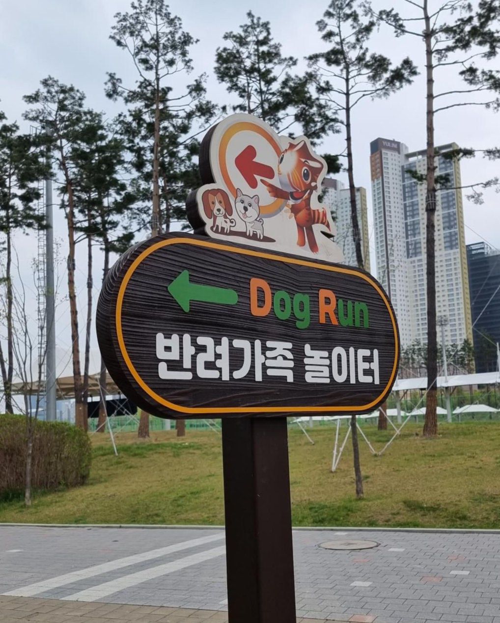  반려견 놀이터 동탄 여울공원 개장 소형견 대형견 모두 좋아해요!