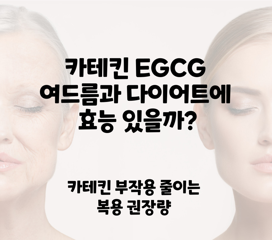 카테킨 EGCG 여드름과 다이어트에 효능 있을까? 카테킨 부작용 줄이는 권장량 복용에 대해 알아보자