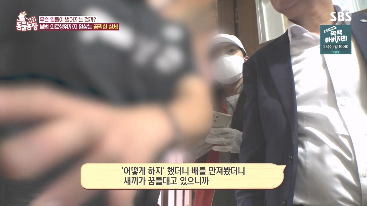 TV 동물농장.E1142.231023p-NEXT.mp4_20231022_172253.717.jpg