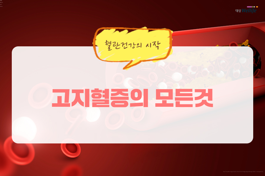 알고 생활습관과 식단으로 관리하자! 고지혈증의 원인은 바로 7