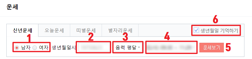 무료로 보는 신년운세 입력란