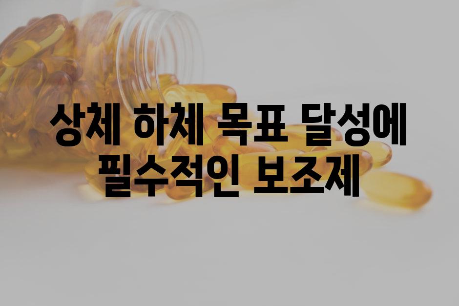 상체 하체 목표 달성에 필수적인 보조제