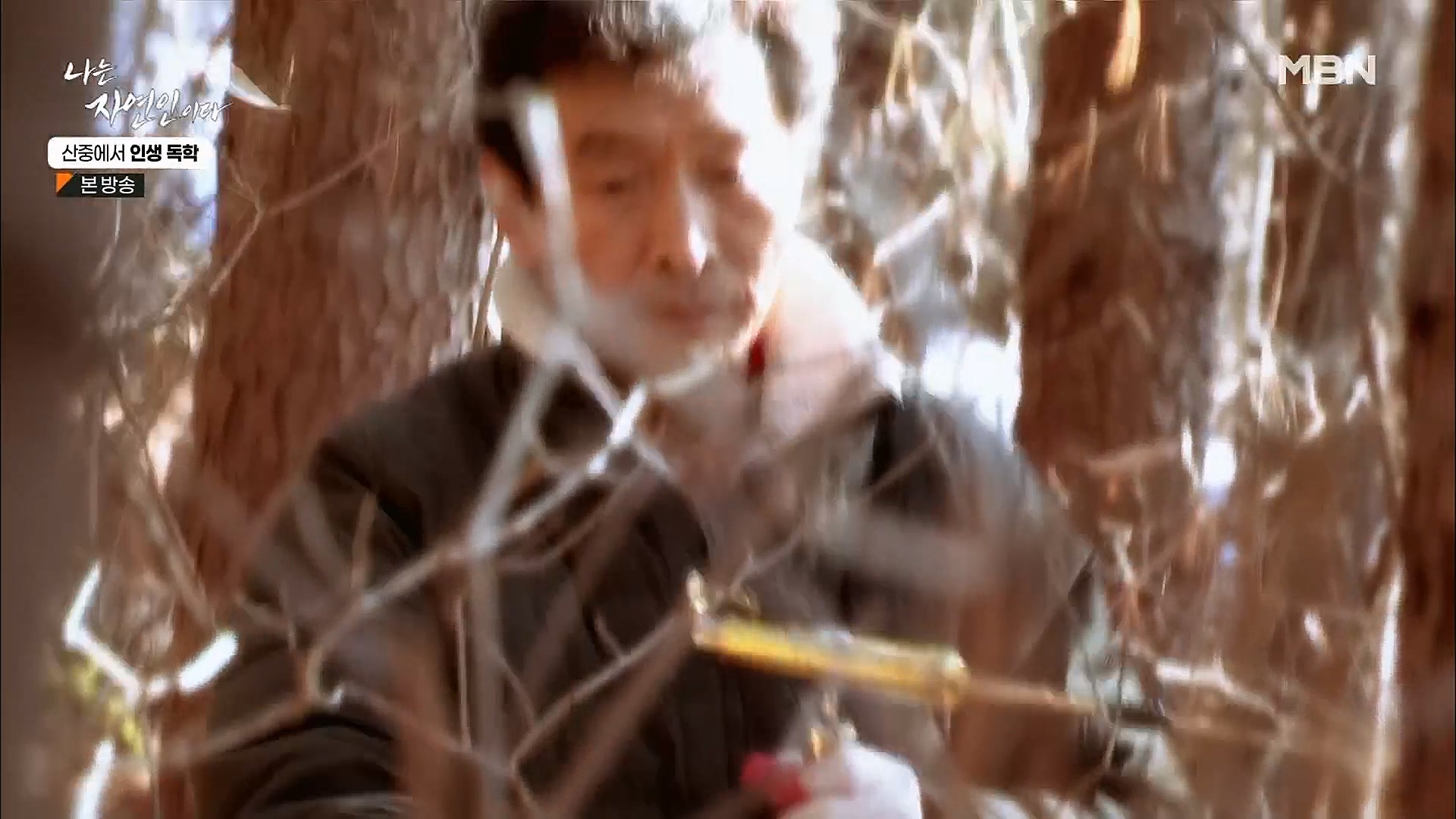 나는 자연인이다.E539.230201p.H264-F1RST.mp4_20230204_181735.122.jpg