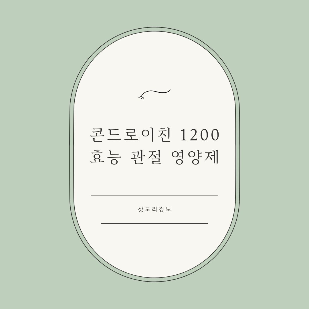 콘드로이친 1200 효능 관절 영양제