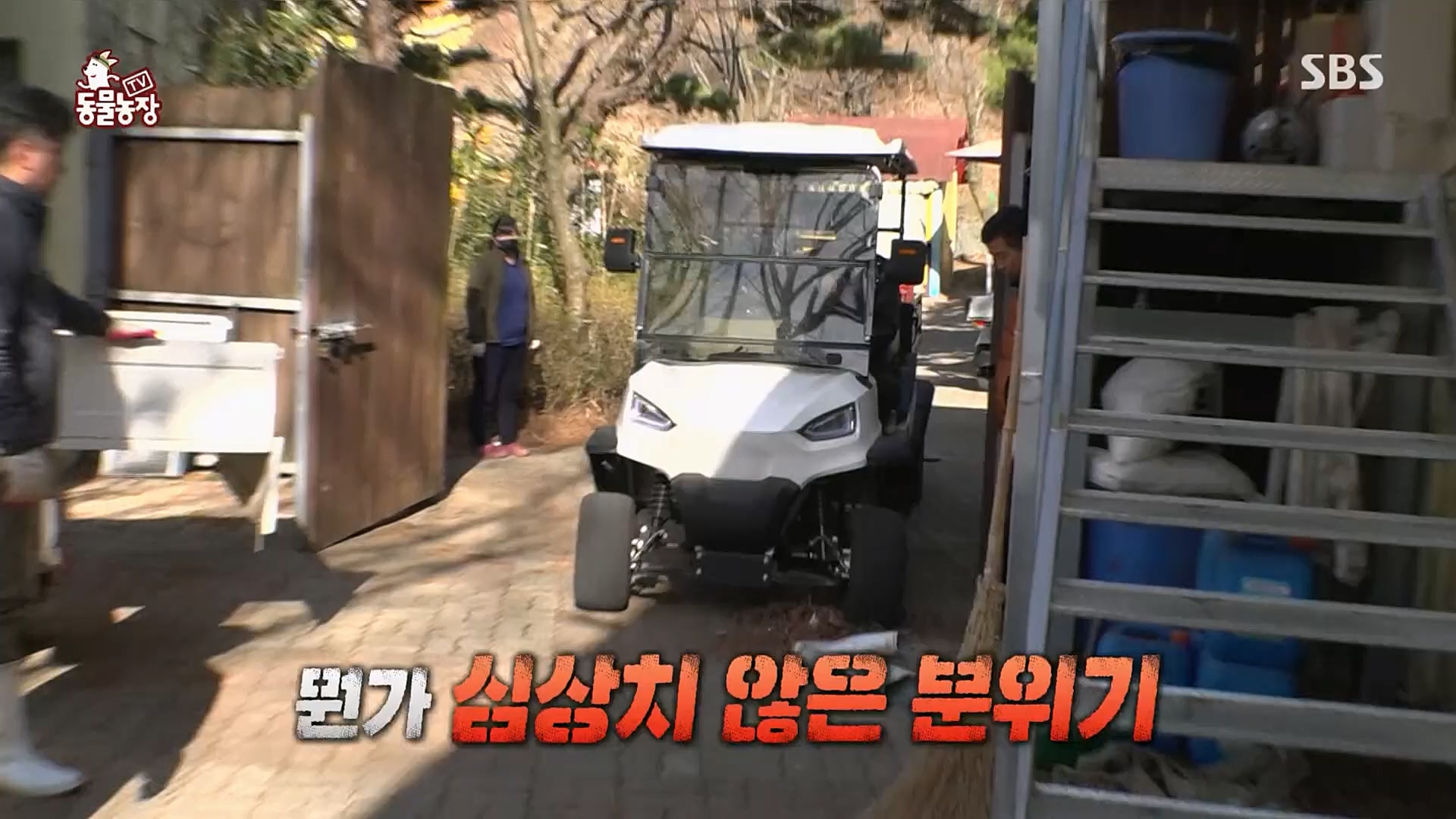 TV 동물농장.E1115.230409p.H264-F1RST.mp4_20230409_173041.134.jpg