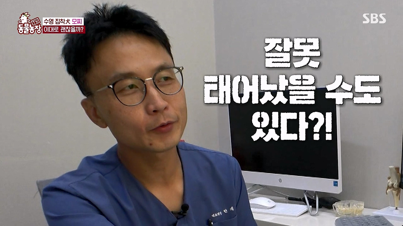 TV 동물농장.E1137.230911p-NEXT.mp4_20230910_183207.879.jpg