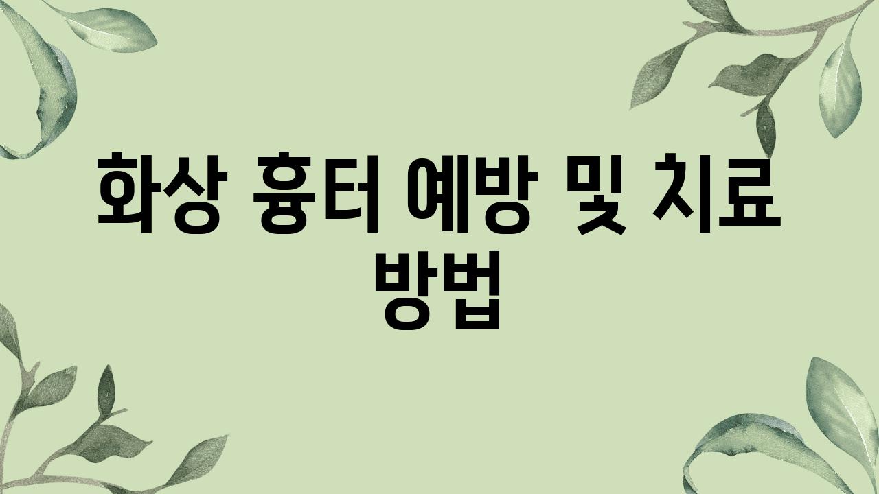 화상 흉터 예방 및 치료 방법