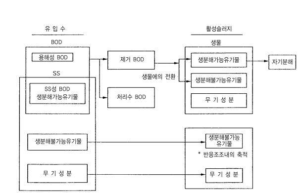 유입수의 조성과 활성슬러지의 조성의 관계 모형화