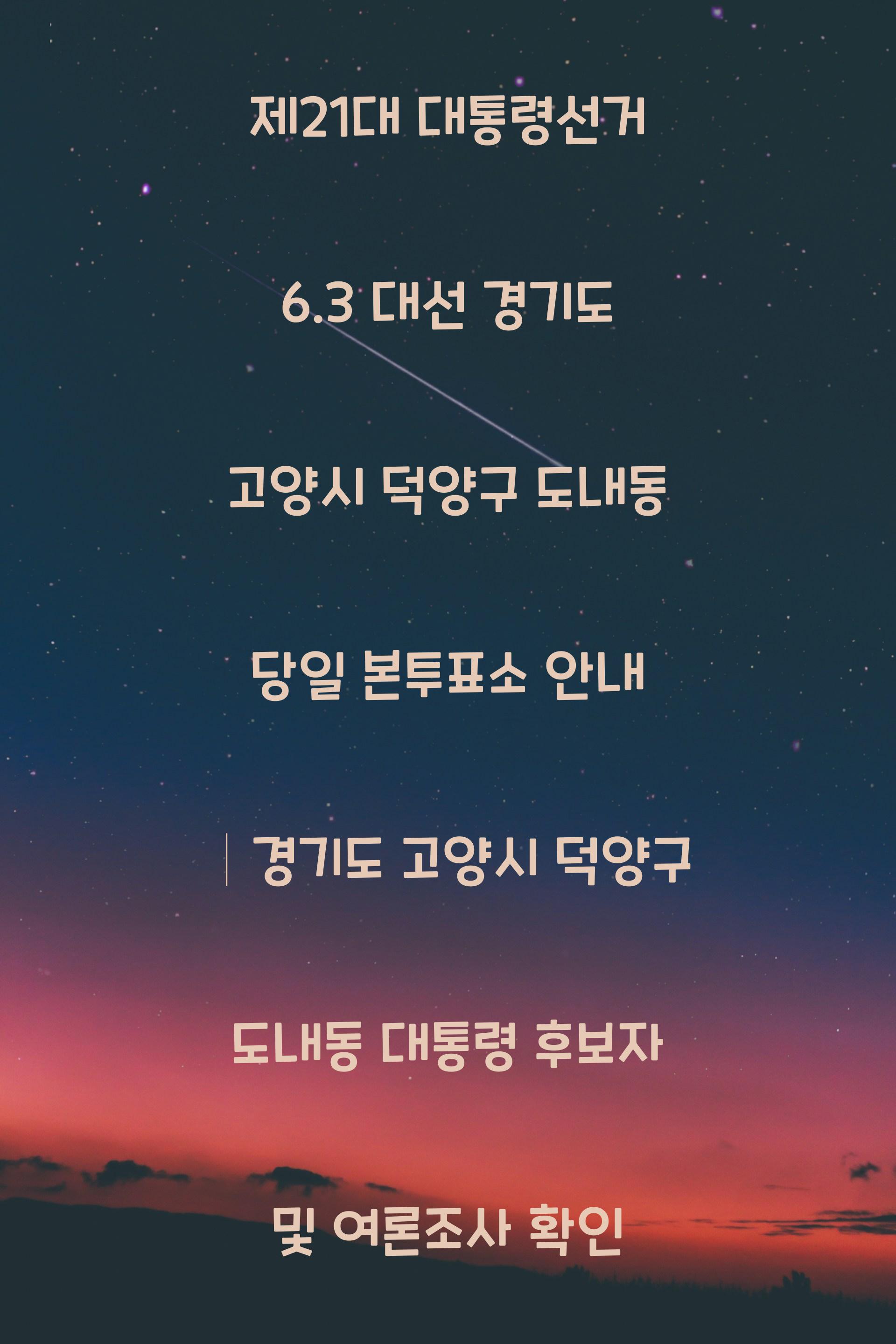 제21대 대통령선거 6.3 대선 경기도 고양시 덕양구 도내동 당일 본투표소 안내 │경기도 고양시 덕양구 도내동 대통령 후보자 및 여론조사 확인