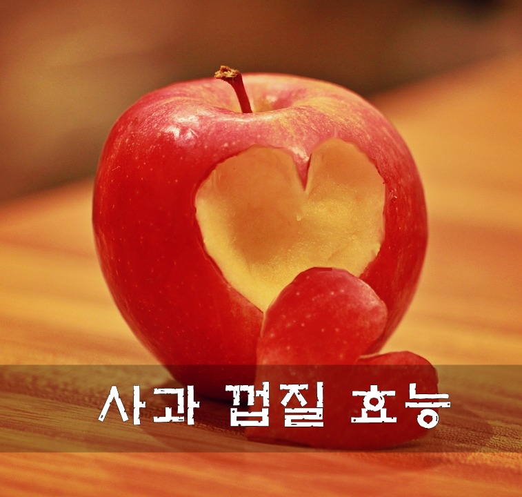  사과 껍질 효능 정말 일까?