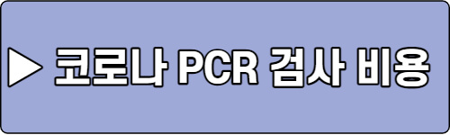 코로나-PCR-검사비용