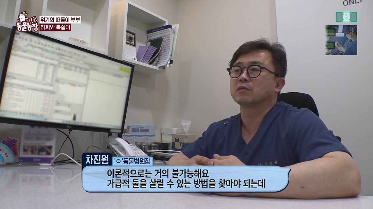 TV 동물농장.E1138.230918p-NEXT.mp4_20230917_172105.152.jpg