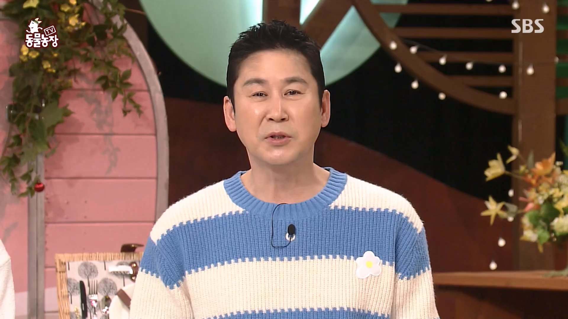 TV 동물농장.E1161.240303p-NEXT.mp4_20240303_172300.711.jpg