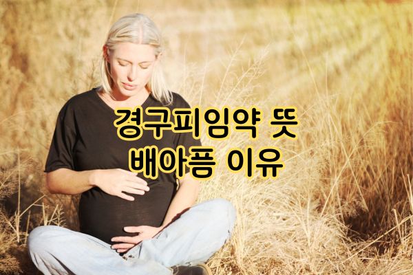 경구피임약 뜻 배아픔 이유