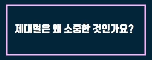  제대혈은 왜 소중한 것인가요?