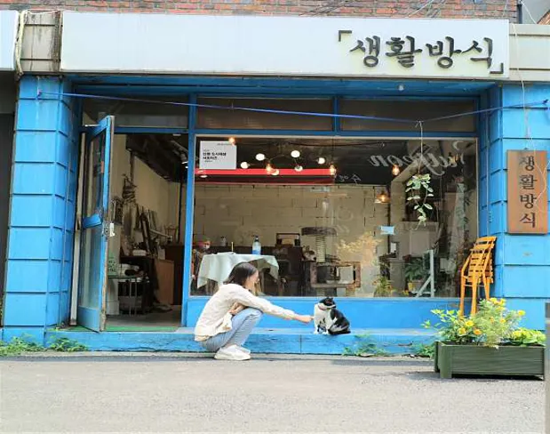 독립서점 생활방식