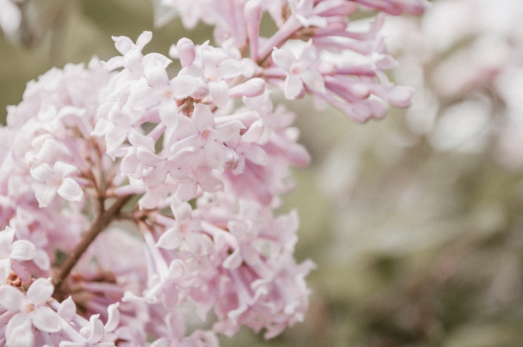 Softness.