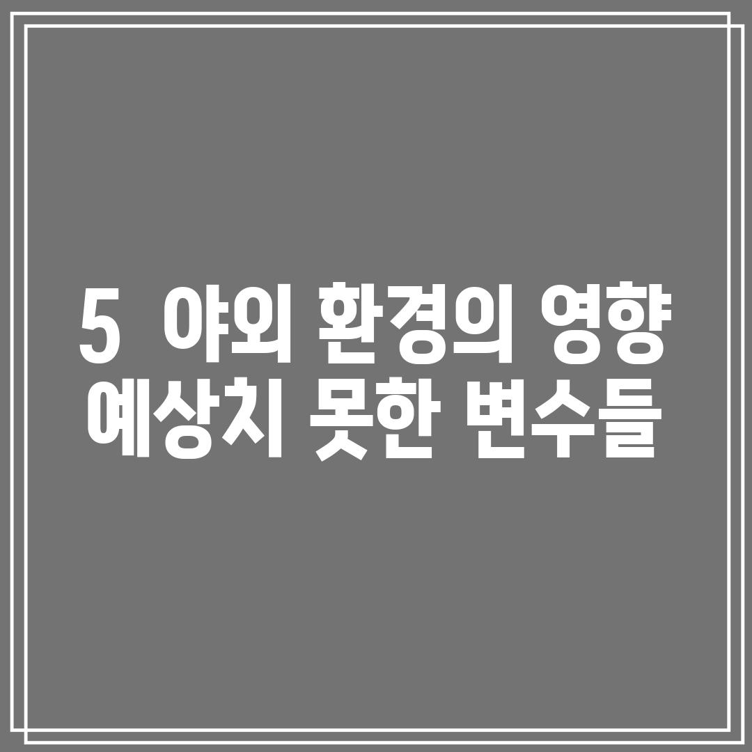 5.  야외 환경의 영향: 예상치 못한 변수들