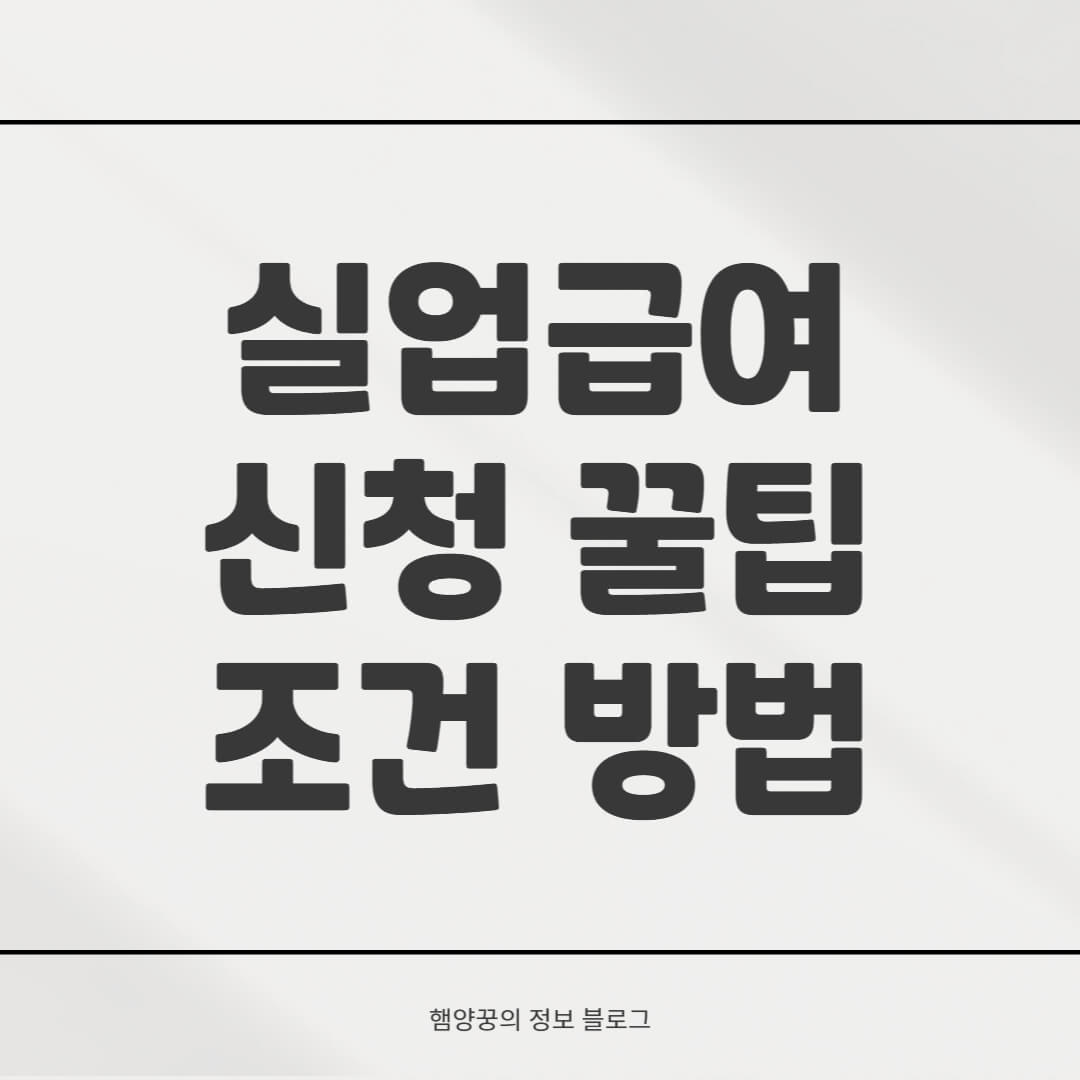 실업급여 신청 꿀팁