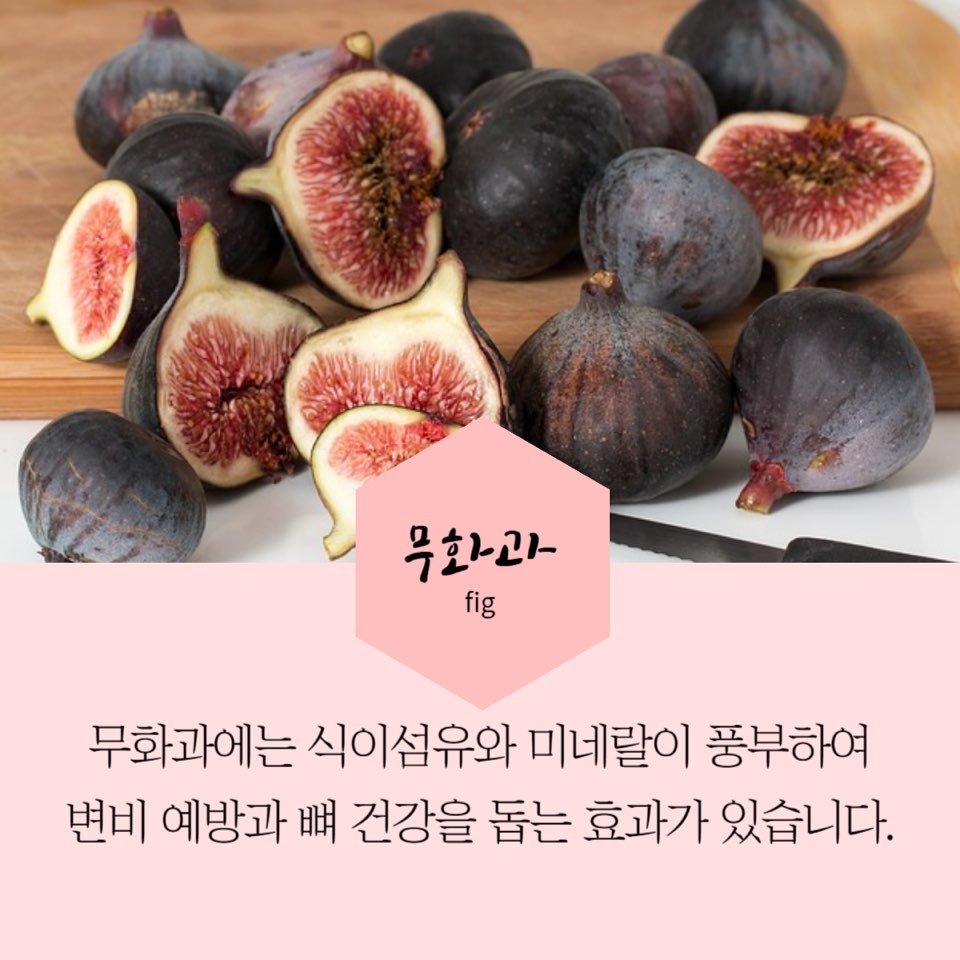 9월제철과일