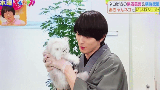 요코야마 류세이 横浜流星 gif 1