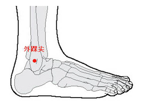 경외기혈(EX) > EX-LE9 외과첨 (外踝尖) 1