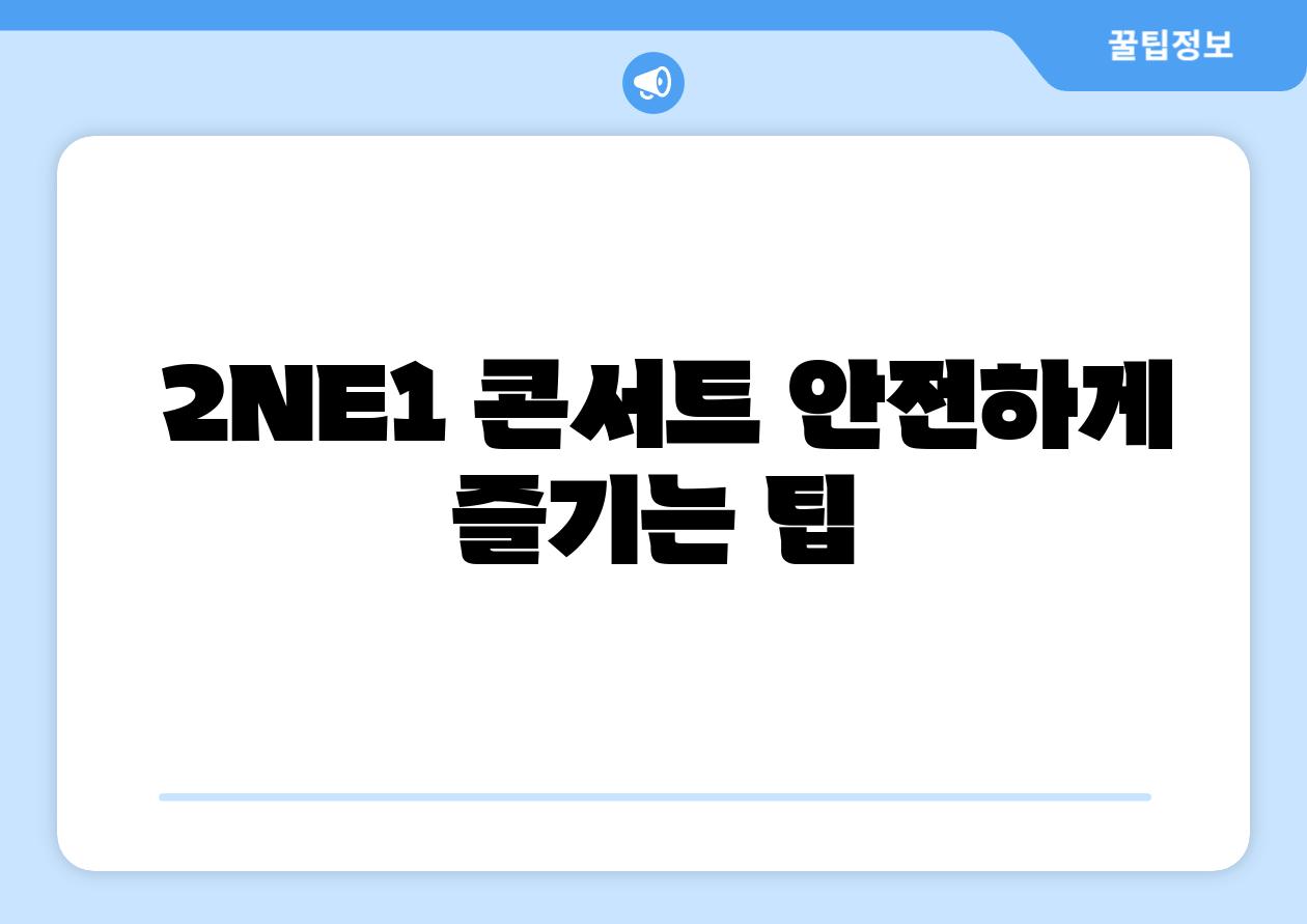  2NE1 콘서트 안전하게 즐기는 팁