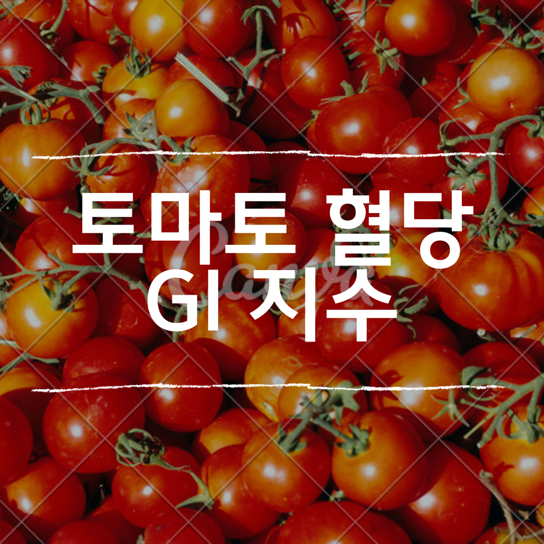 토마토 당뇨 환가가 먹어도 될까? 혈당 GI 당지수