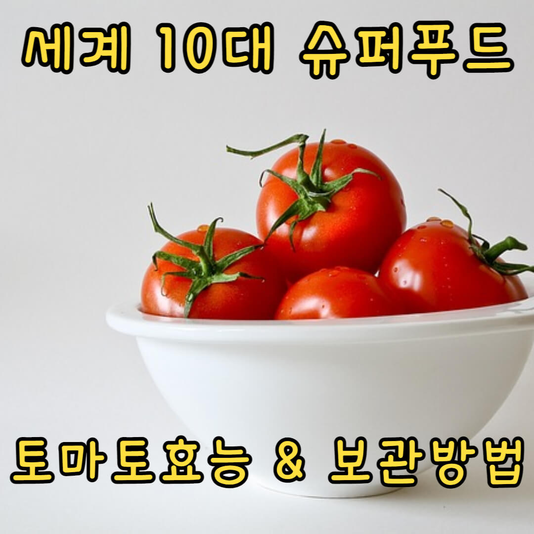 토마토