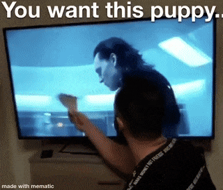  Funny Gif