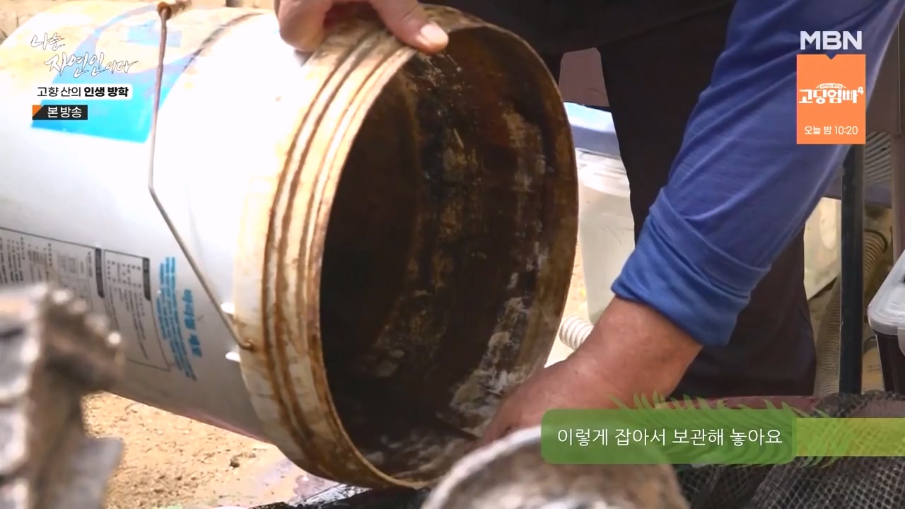 나는 자연인이다.E568.230824p-NEXT.mp4_20230824_203252.678.jpg
